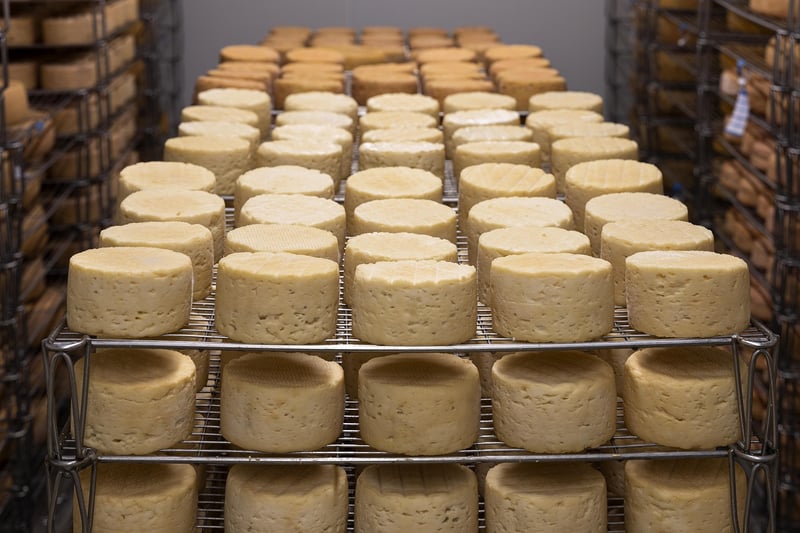 Artisanal Cheese Pairings