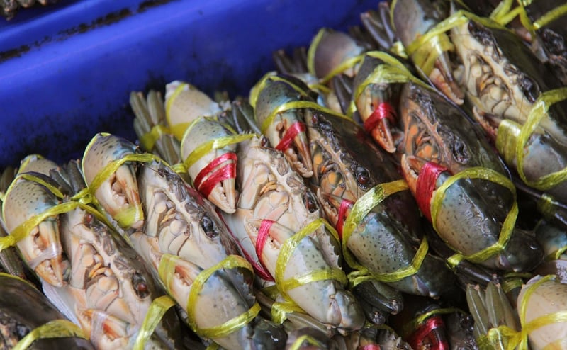 Fresh Seafood Creations